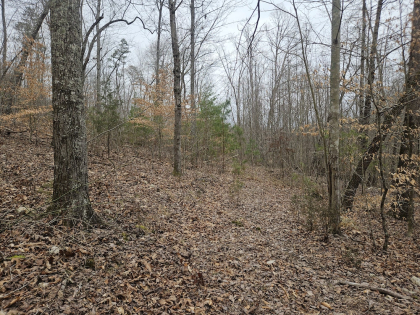 Low Gap Road Tract 2