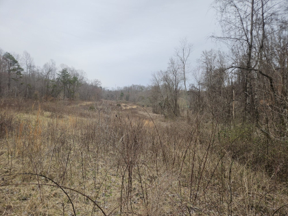 Low Gap Road Tract 3