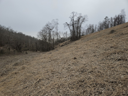 Low Gap Road Tract 4