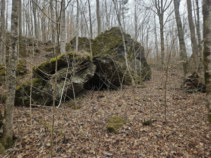 Low Gap Road Tract 6