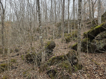Low Gap Road Tract 6