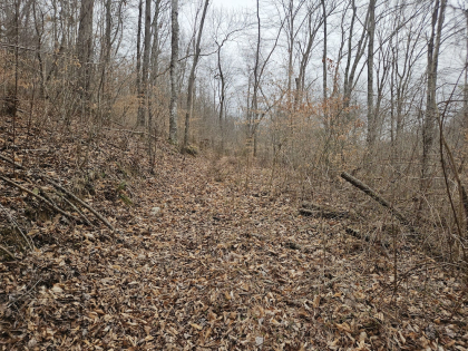 Low Gap Road Tract 6