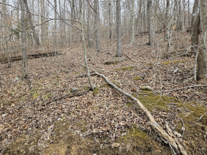 Low Gap Road Tract 6