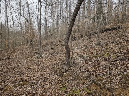 Low Gap Road Tract 6