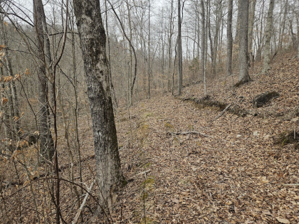 Low Gap Road Tract 6