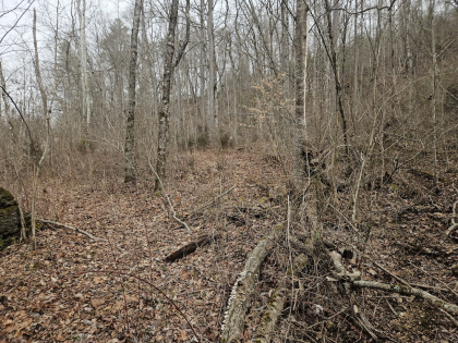 Low Gap Road Tract 6
