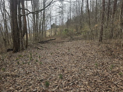 Low Gap Road Tract 5