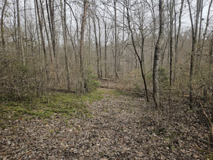 Low Gap Road Tract 5