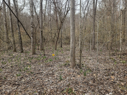 Low Gap Road Tract 5