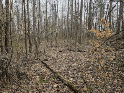 Low Gap Road Tract 4