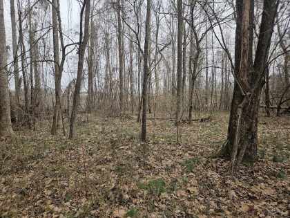 Low Gap Road Tract 4