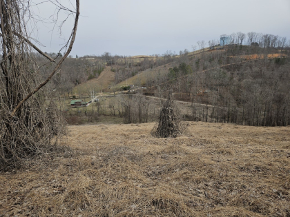 Low Gap Road Tract 4