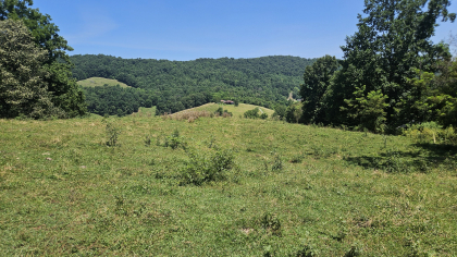 Rebel Farms 2 Tract 12