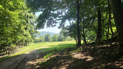 Rebel Farms 2 Tract 12