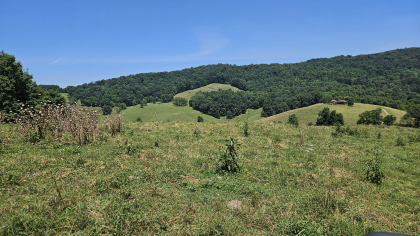 Rebel Farms 2 Tract 12