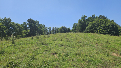 Rebel Farms 2 Tract 12