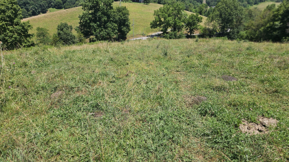 Rebel Farms 2 Tract 12