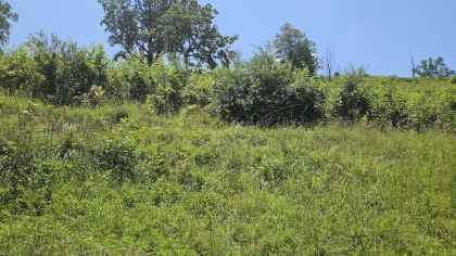 Rebel Farms 2 Tract 7