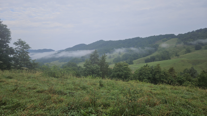 Rebel Farms 2 Tract 12