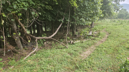 Rebel Farms 2 Tract 12