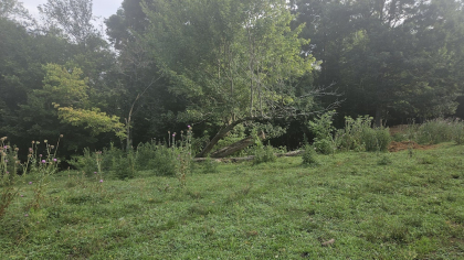 Rebel Farms 2 Tract 10
