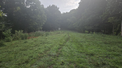 Rebel Farms 2 Tract 10