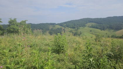 Rebel Farms 2 Tract 8