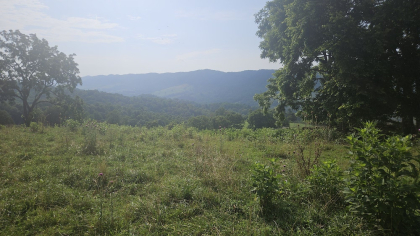 Rebel Farms 2 Tract 8