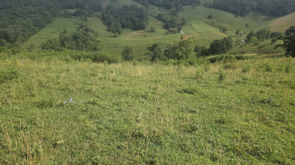 Rebel Farms 2 Tract 8
