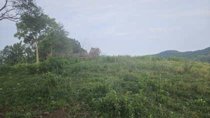 Rebel Farms 2 Tract 6