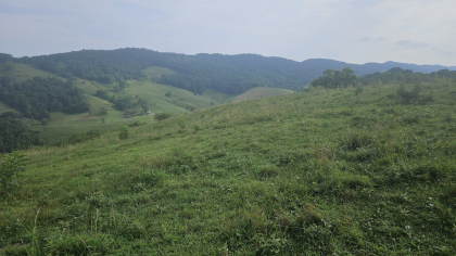 Rebel Farms 2 Tract 6