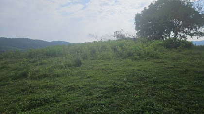 Rebel Farms 2 Tract 6