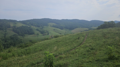 Rebel Farms 2 Tract 6