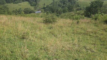 Rebel Farms 2 Tract 4