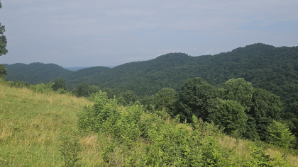 Rebel Farms 2 Tract 4
