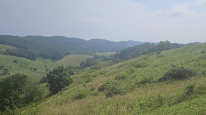 Rebel Farms 2 Tract 4