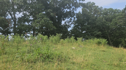 Rebel Farms 2 Tract 4