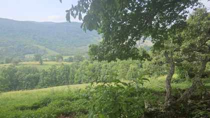 Rebel Farms 2 Tract 4