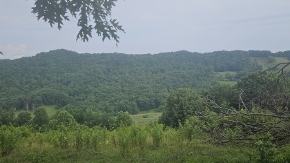 Rebel Farms 2 Tract 2