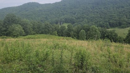 Rebel Farms 2 Tract 2