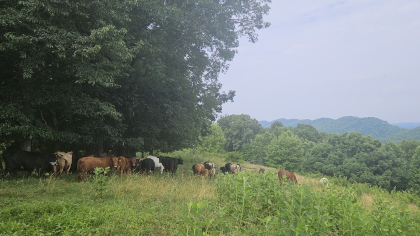 Rebel Farms 2 Tract 2