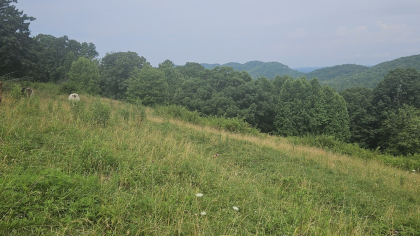 Rebel Farms 2 Tract 2