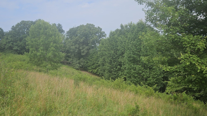 Rebel Farms 2 Tract 2