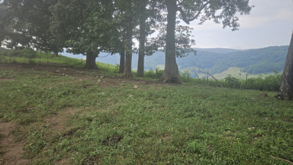 Rebel Farms 2 Tract 2