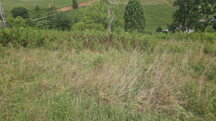 Rebel Farms 2 Tract 9