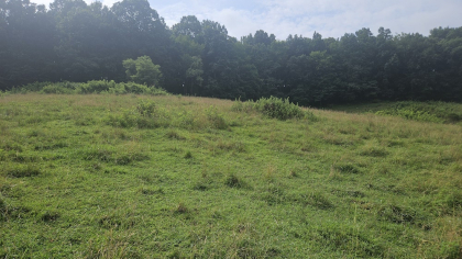 Rebel Farms 2 Tract 9