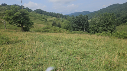 Rebel Farms 2 Tract 9