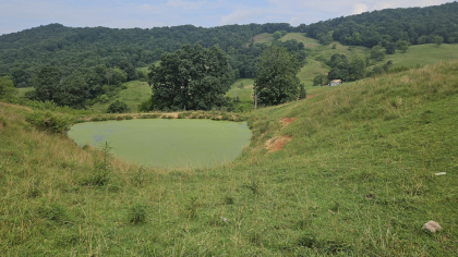 Rebel Farms 2 Tract 9