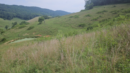 Rebel Farms 2 Tract 9
