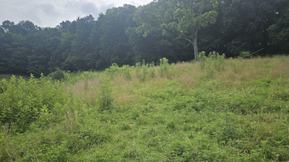 Rebel Farms 2 Tract 10